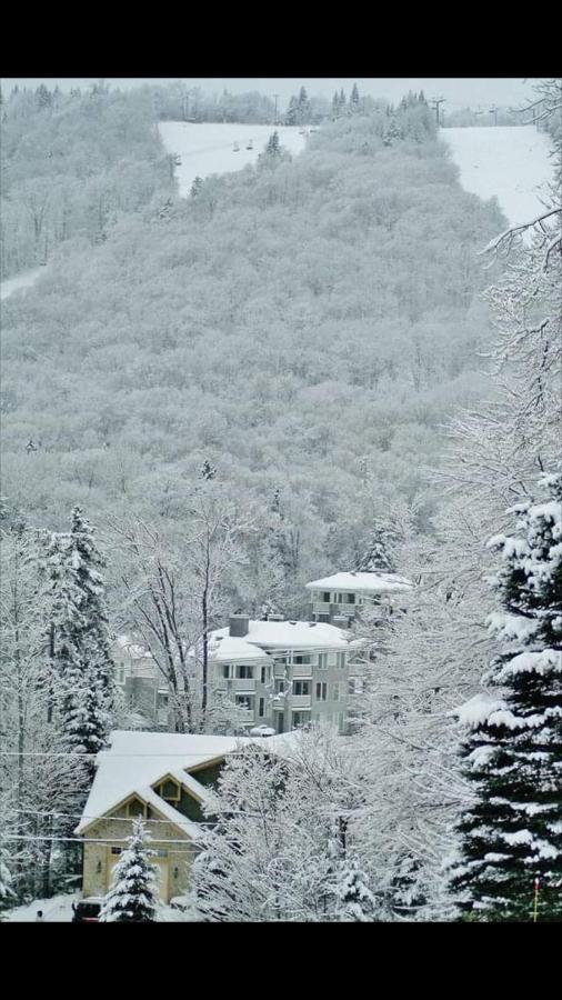 Ski-In, Ski-Out Chaleureux Studio Loft Au Pied Des Pistes De Ski Apartment Stoneham Exterior foto